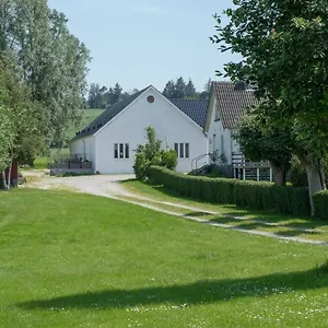 Molshojgard Appartement Knebel